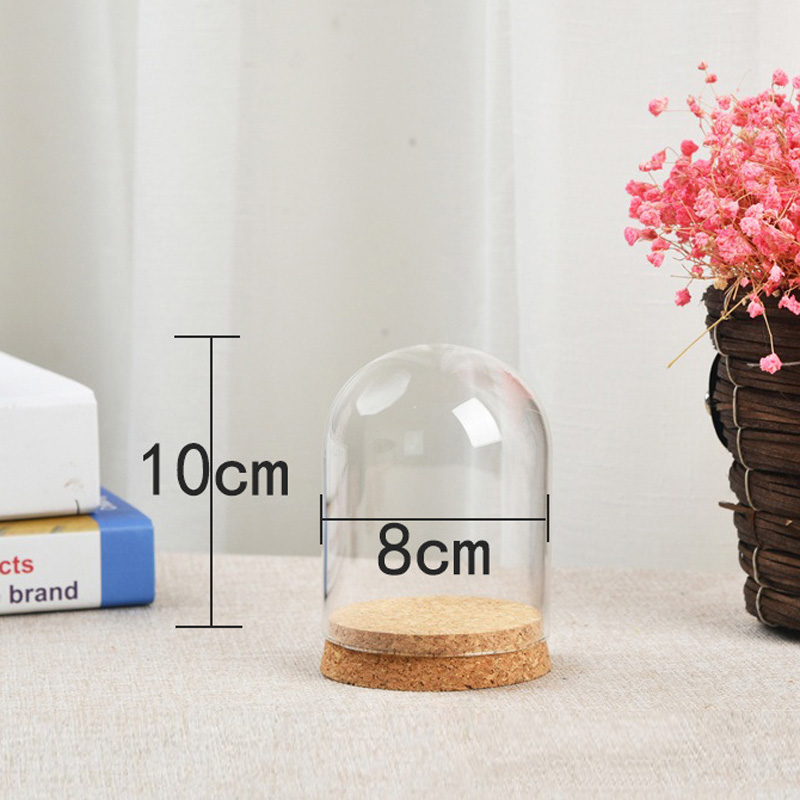 Glass Dome Cover For Flower Su - Florist Supply Vases ulasan dan harga