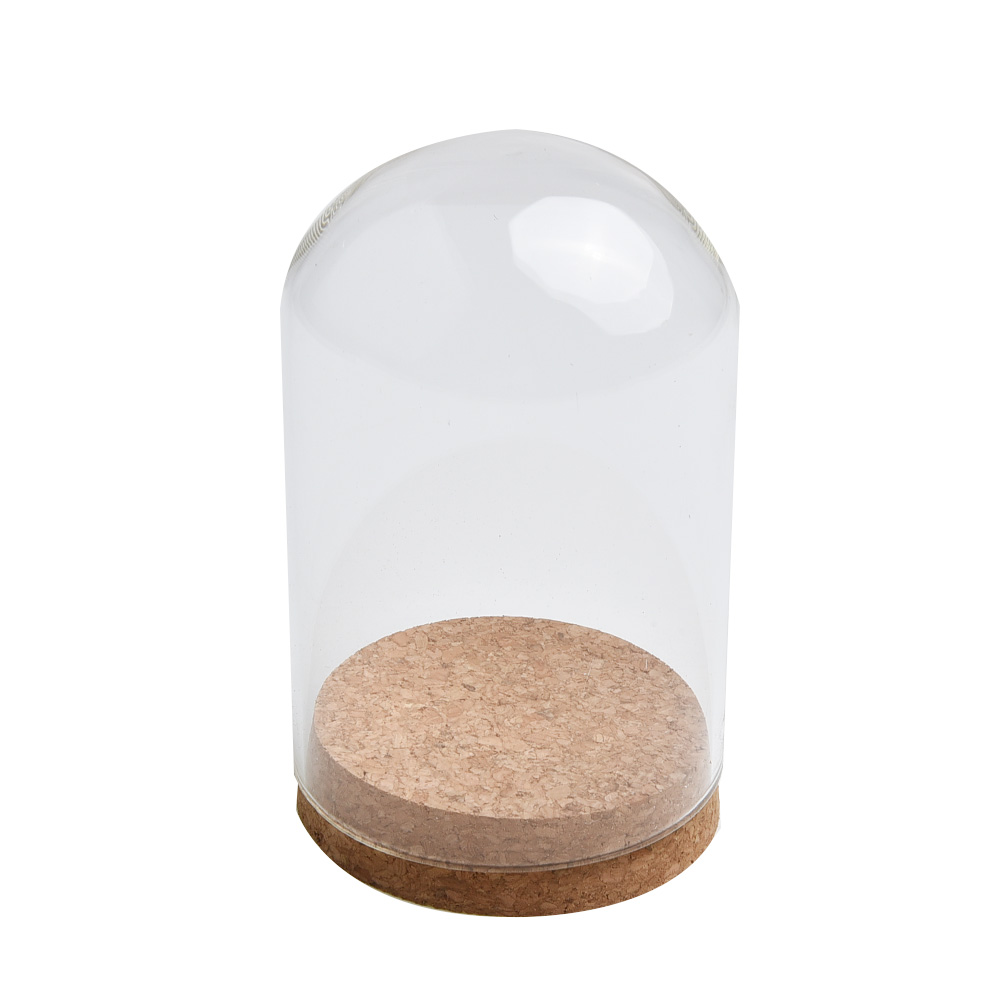 Glass Dome Cover For Flower Su - Florist Supply Vases ulasan dan harga