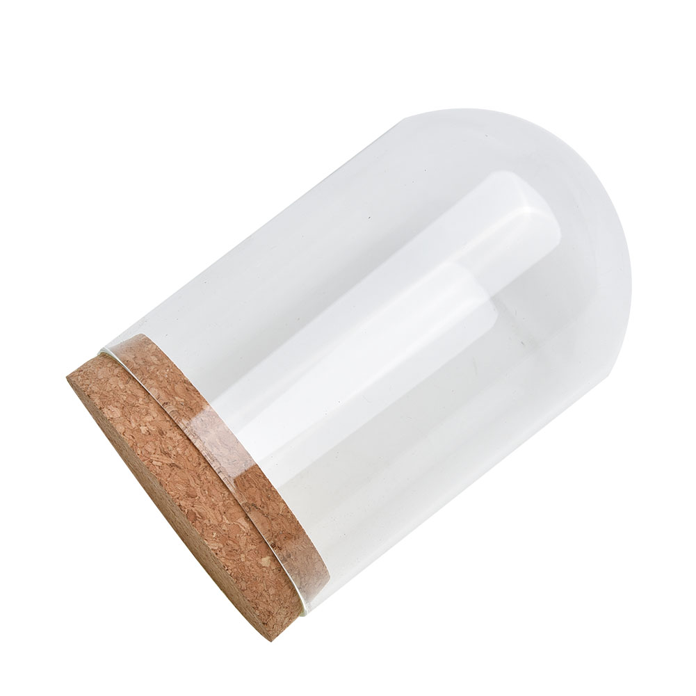 Glass Dome Cover For Flower Su - Florist Supply Vases ulasan dan harga