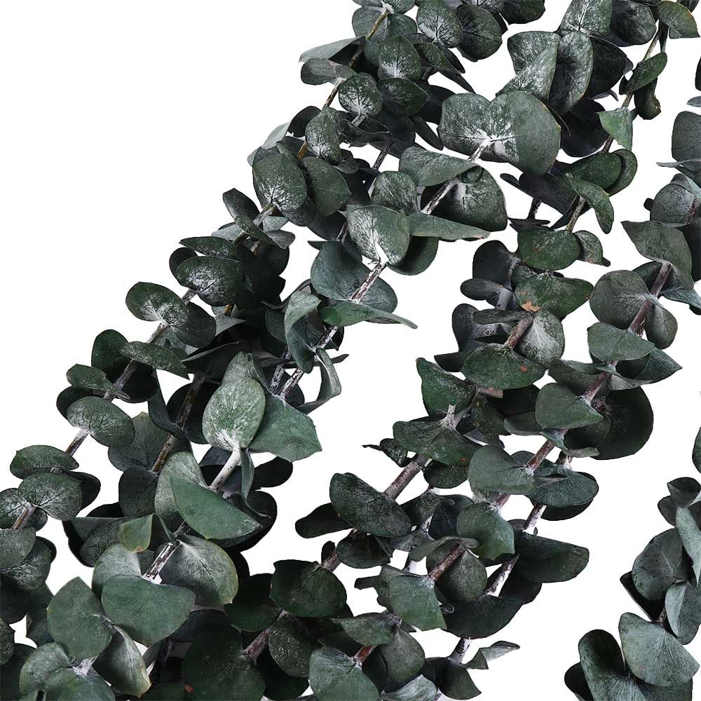 10 Pcs Real Leaves Hanging Dri - Eucalyptus Preserved ulasan dan harga