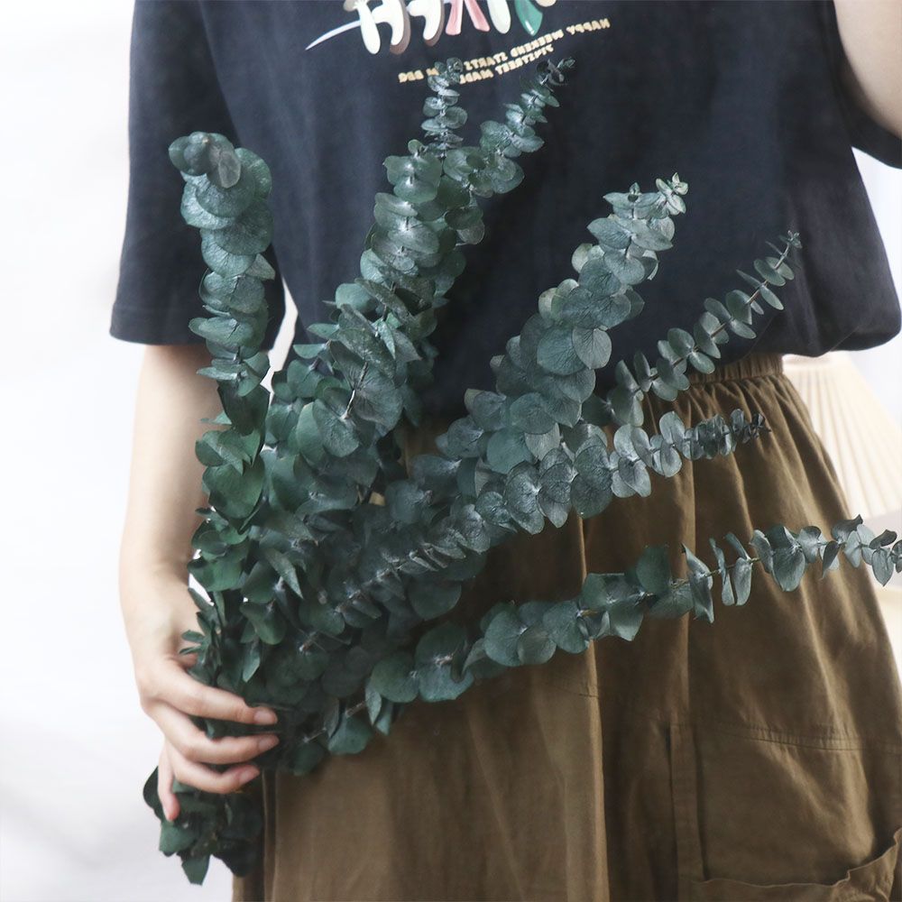 10 Pcs Real Leaves Hanging Dri - Eucalyptus Preserved ulasan dan harga
