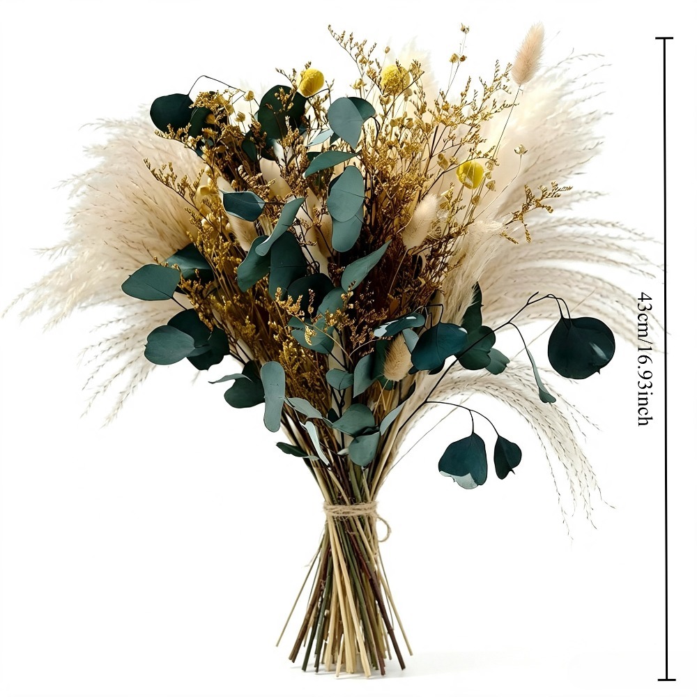 Natural Dried Pampas Grass Bou - Eucalyptus Preserved ulasan dan harga