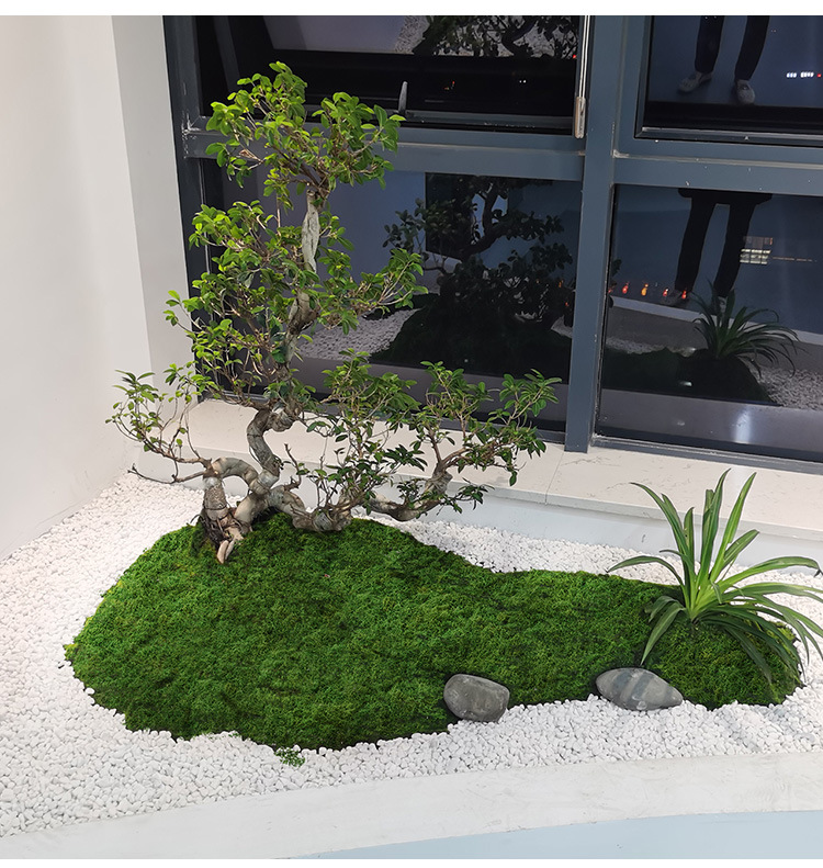 Artificial moss filaments moss - Preserved Moss Sheet ulasan dan harga