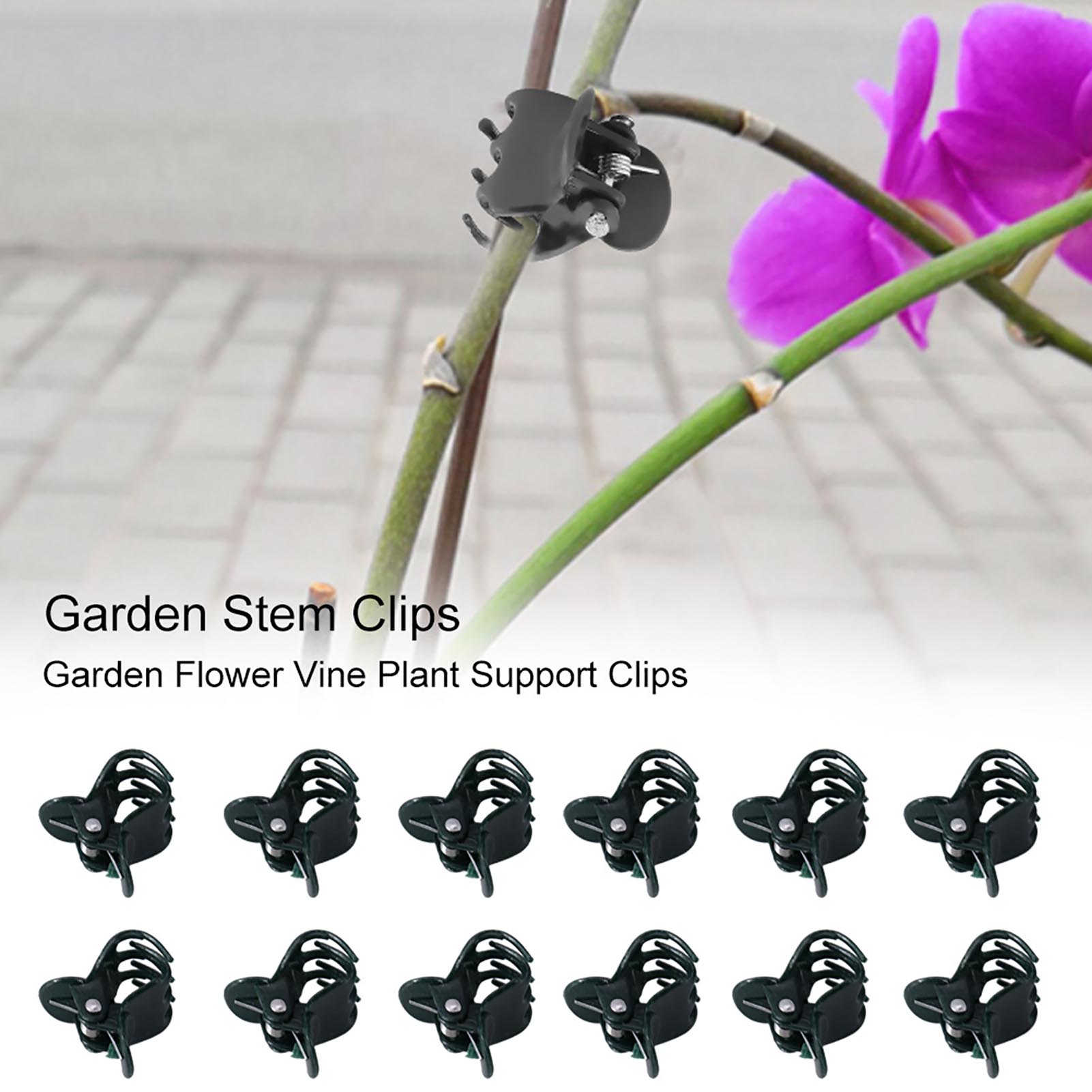 100pcs Mini Plant Clips Garden - Florist Supply Bulk ulasan dan harga