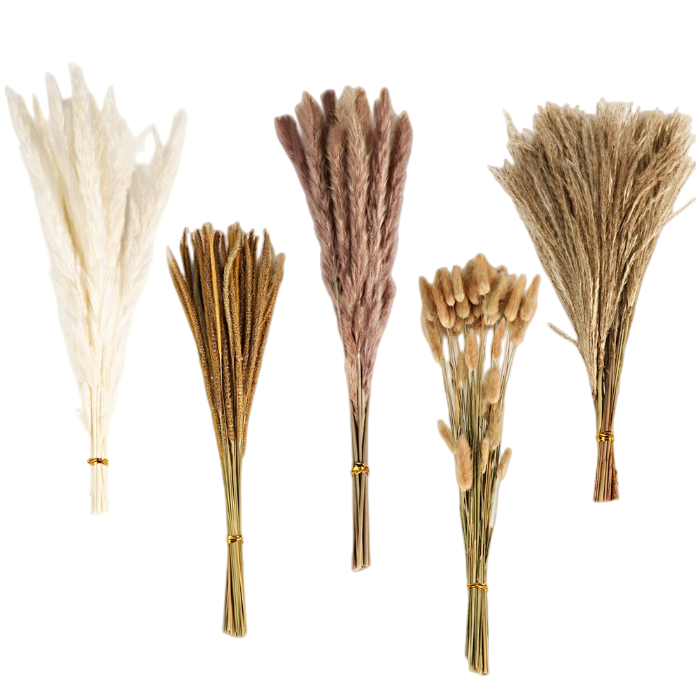 Autumn Vintage Mixed Dried Flo - Eucalyptus Preserved ulasan dan harga