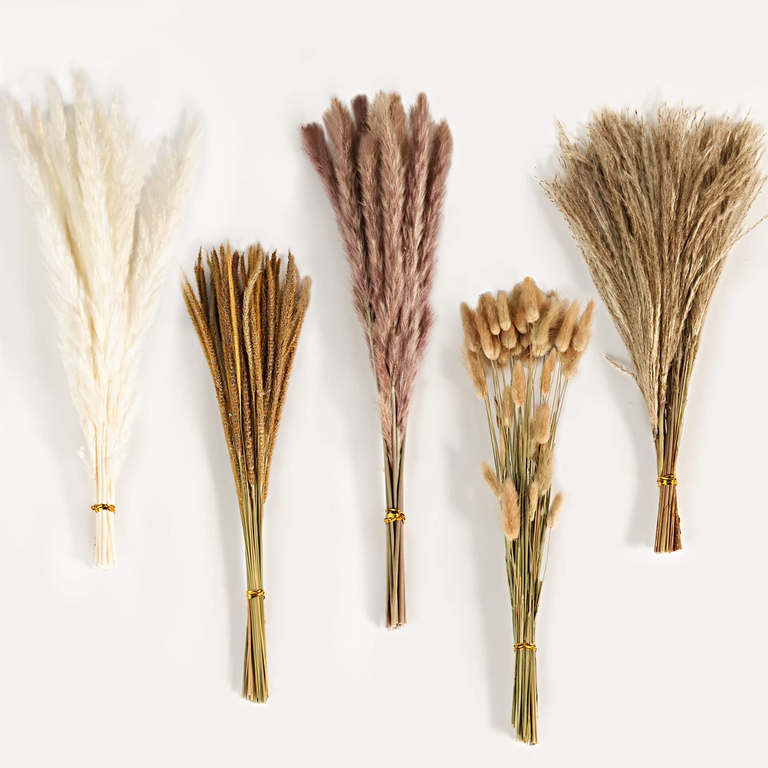 Autumn Vintage Mixed Dried Flo - Eucalyptus Preserved ulasan dan harga