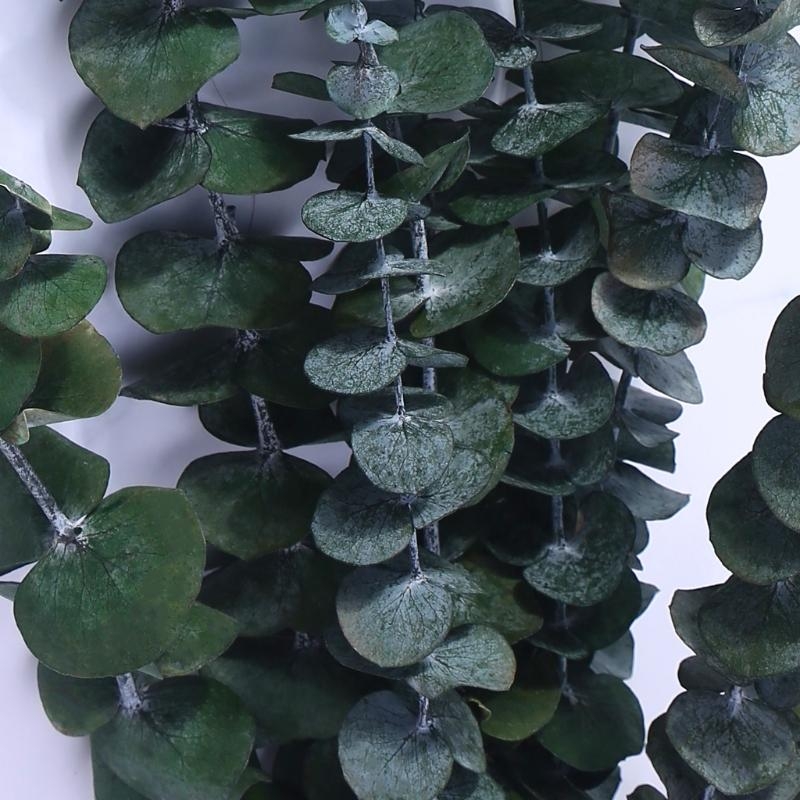 20Pcs Preserved for Fresh Euca - Eucalyptus Preserved ulasan dan harga