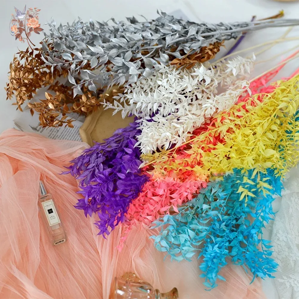 50g Artificial Dried Flower Ru - Eucalyptus Preserved ulasan dan harga