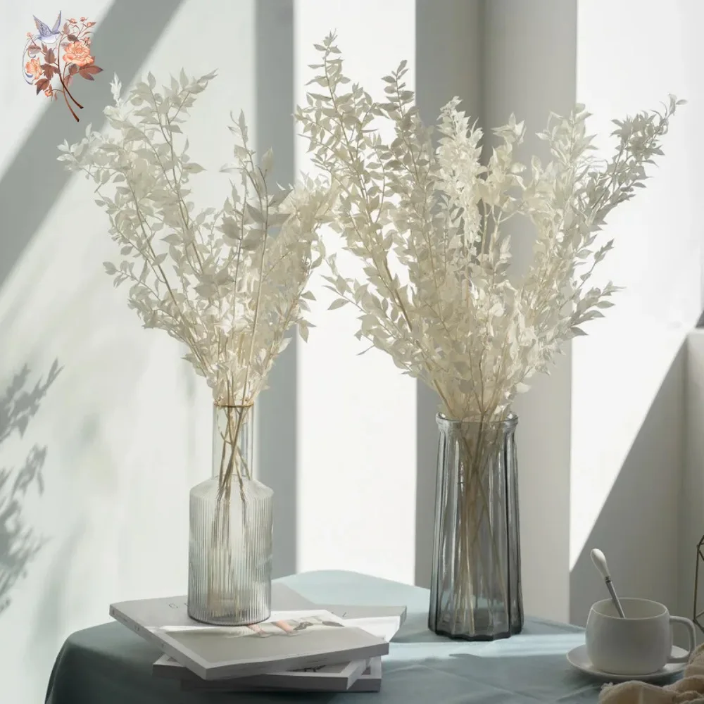 50g Artificial Dried Flower Ru - Eucalyptus Preserved ulasan dan harga