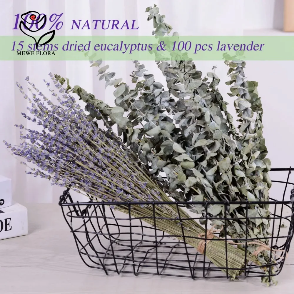 30Pcs Dried Flowers Preserved  - Eucalyptus Preserved ulasan dan harga