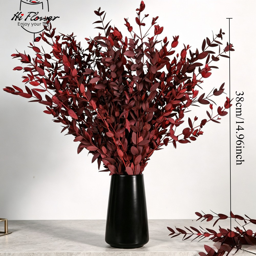 Natural Dried Flowers Eucalypt - Florist Supply Vases ulasan dan harga